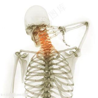 脖子疼痛的人体模型高清图片