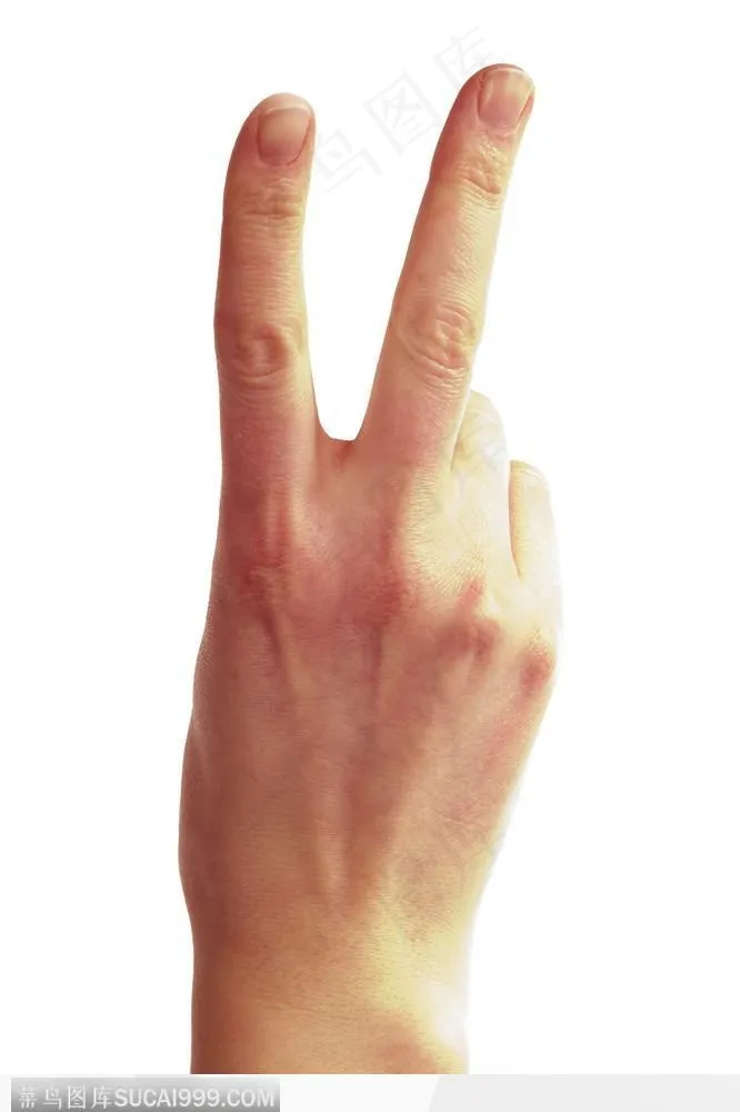 手势喻意-食指与中指的手背