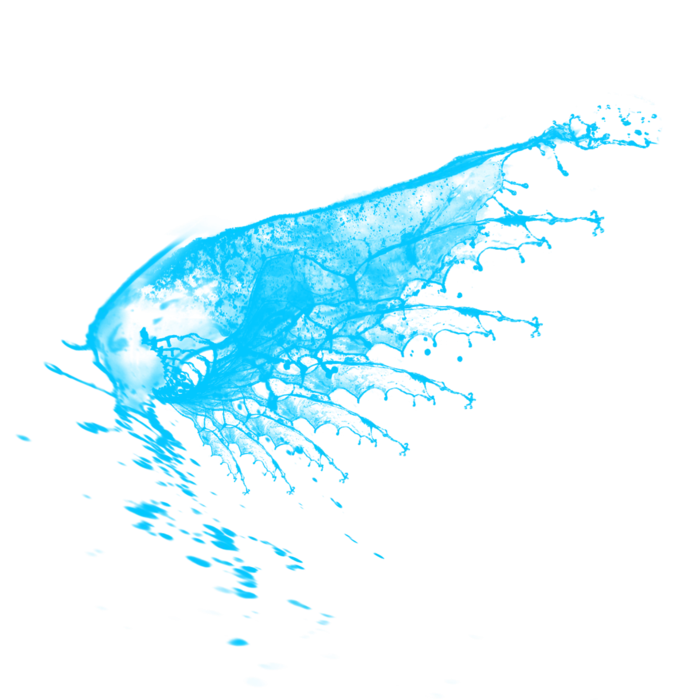水花 水花翅膀