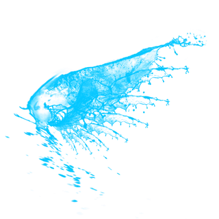 水花 水花翅膀