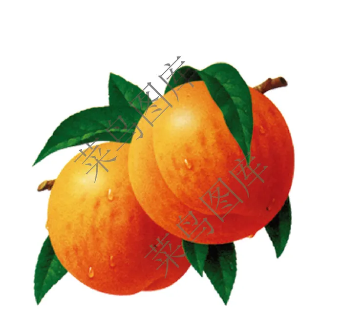 黄杏，杏子高清图psd模版下载