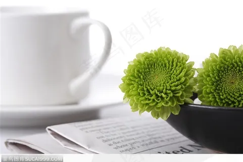 生活印象-咖啡杯与绿色菊花