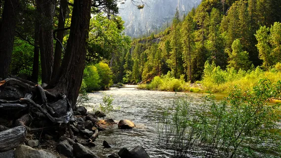 色满园春暖花开姹紫