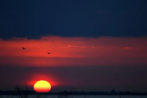 日出东方图片 日出东方图片