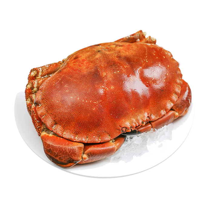 黄金蟹海鲜超市商品红酒白底图免抠实物摄影png格式图片透明底