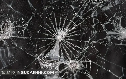 一张白色的大蜘蛛网 一张白色的大蜘蛛网