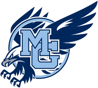 老鹰卡通简笔素材标题