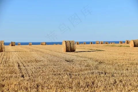 原野干草垛图片