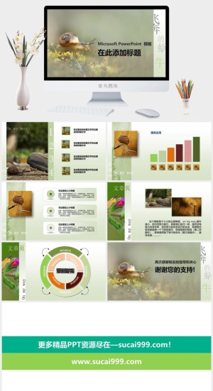 精美PPT模板预览图