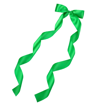 蝴蝶结绿色绸带