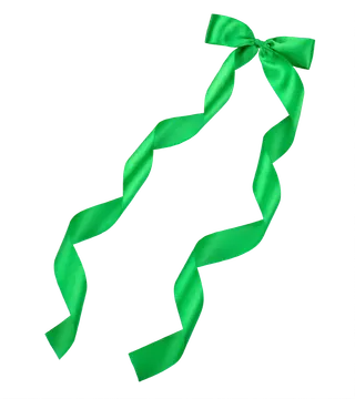 蝴蝶结绿色绸带