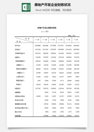 房地产开发企业财务状况excel模板预览图