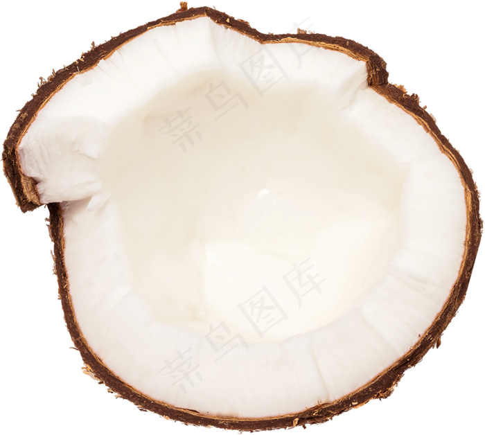 05_Coconut