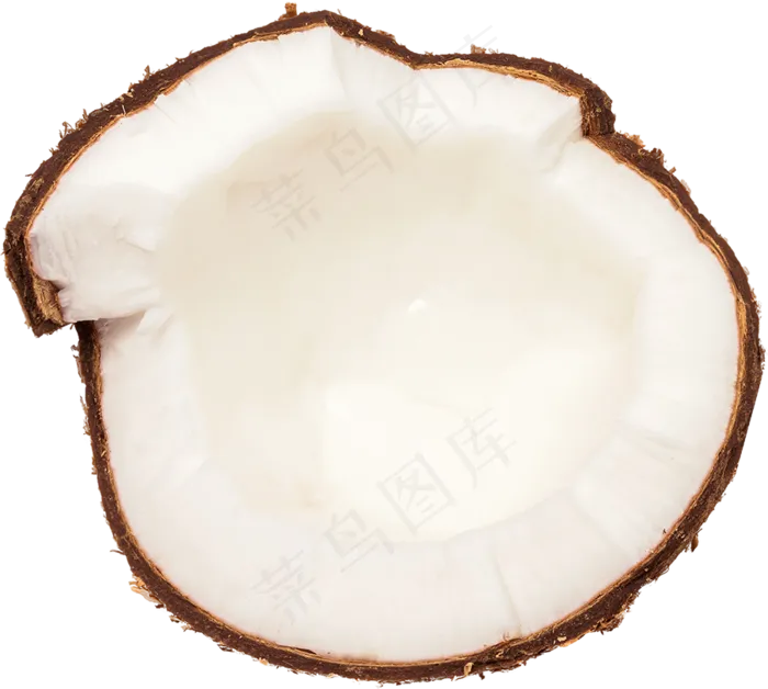 05_Coconut