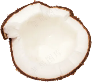 05_Coconut