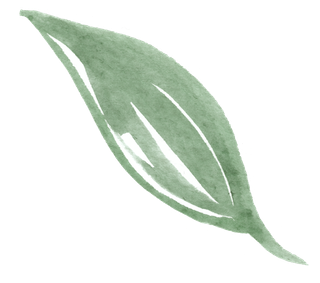 唯美森系手绘水彩花朵 免抠