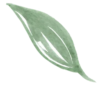 唯美森系手绘水彩花朵 免抠