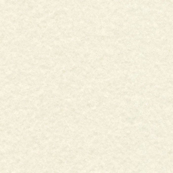 羊皮纸自然质地psd模版下载