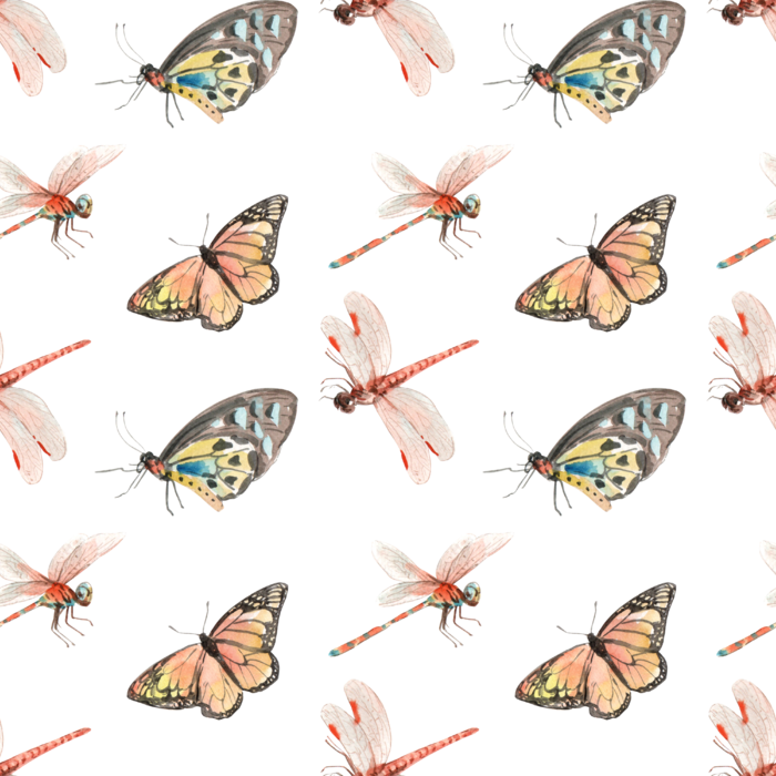 插画春鸟免抠素材