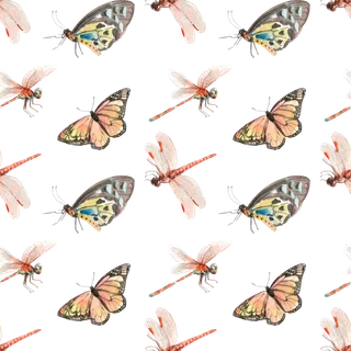 插画春鸟免抠素材