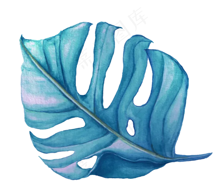 水彩插画-树叶5