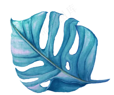 水彩插画-树叶5 水彩插画-树叶5