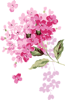 免扣丁香花海报设计元素