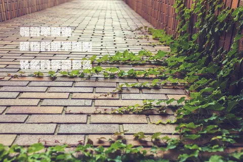 情话暖心短句给男生 情话暖心短句给男生