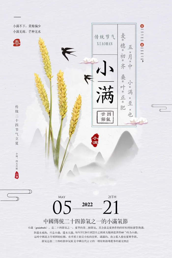 小满 小满海报psd模版下载