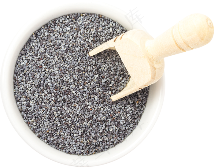 14_Poppy Seeds