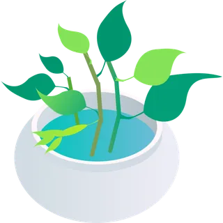 立体风格绿萝盆栽