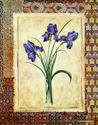 紫色花卉水彩插画