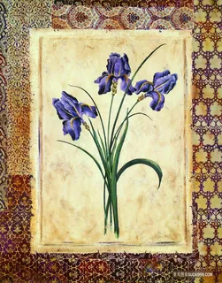 紫色花卉水彩插画 紫色花卉水彩插画