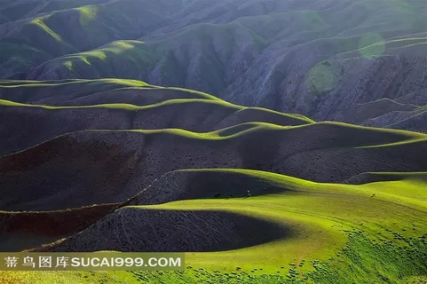 新疆库克苏河风景