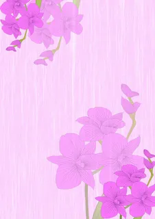 粉紫色小清新石斛兰背景画册