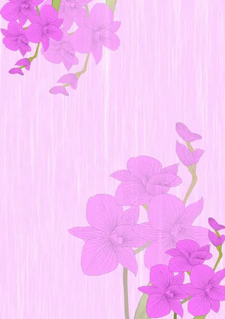 粉紫色小清新石斛兰背景画册