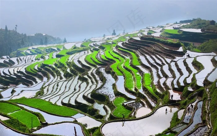 贵州加榜梯田风景素材