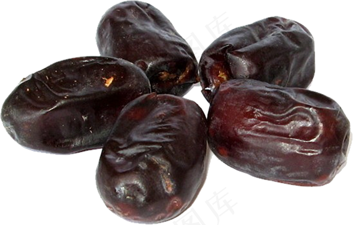 海枣免抠素材 (21)