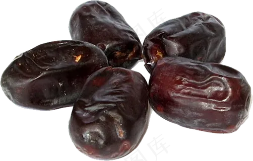 海枣免抠素材 (21)