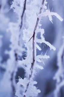 极简下雪雪景冬天背景