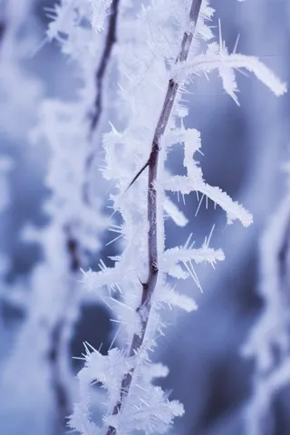 极简下雪雪景冬天背景