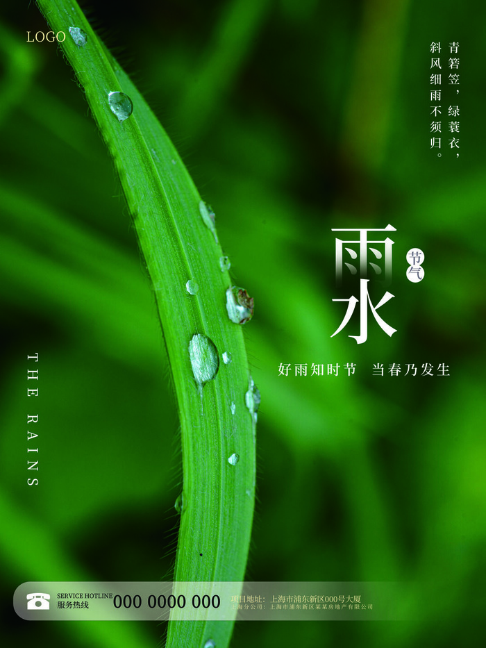 创意24节日二十四节气雨水春节春天宣传祝福海报模板PSD设计素材