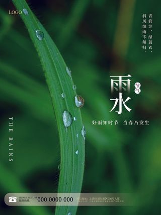 创意24节日二十四节气雨水春节春天宣传祝福海报模板PSD设计素材