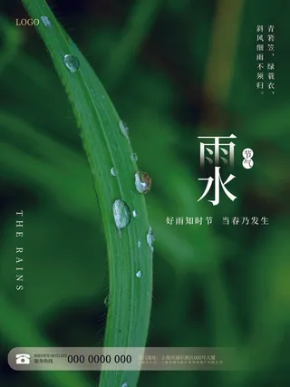 创意24节日二十四节气雨水春节春天宣传祝福海报模板PSD设计素材