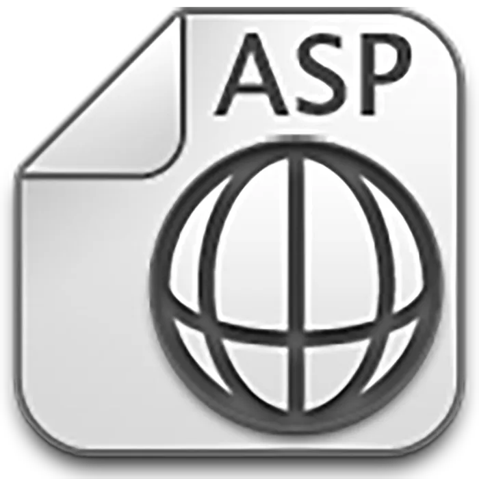 ASp格式