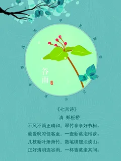 谷雨二十四节气海报设计