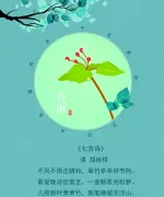 谷雨二十四节气海报设计