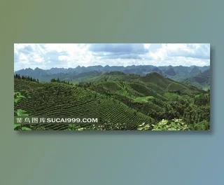 高清绿色茶山天空素材图片下载