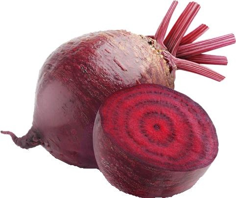 甜菜 PNG免抠(482x404)