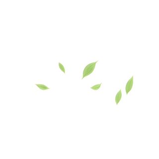 几片树叶飘在空中png免抠